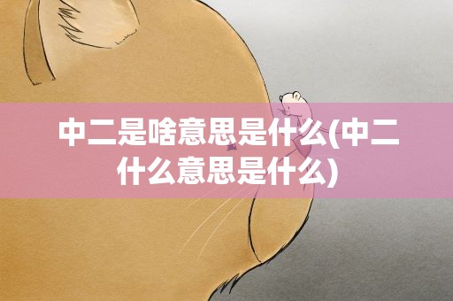中二是啥意思是什么(中二什么意思是什么)