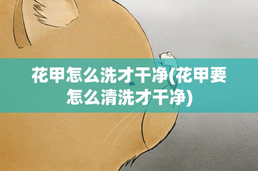花甲怎么洗才干净(花甲要怎么清洗才干净)
