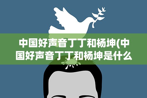 中国好声音丁丁和杨坤(中国好声音丁丁和杨坤是什么关系)