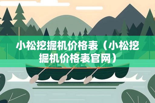 小松挖掘机价格表（小松挖掘机价格表官网）