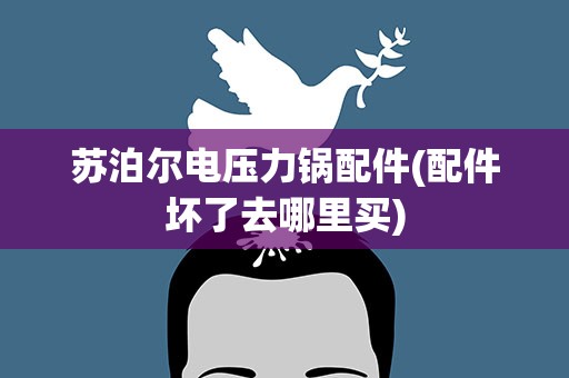 苏泊尔电压力锅配件(配件坏了去哪里买)