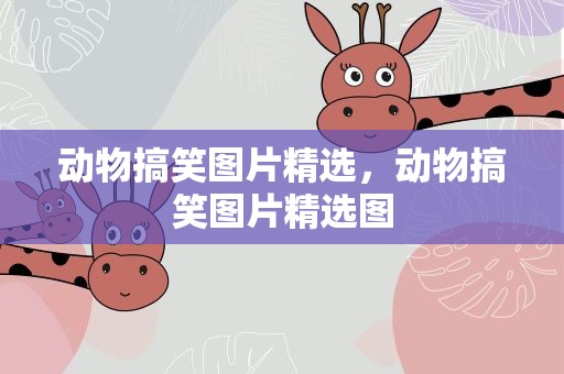 动物搞笑图片精选，动物搞笑图片精选图