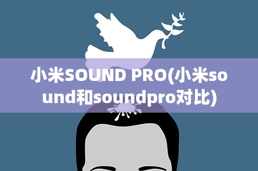 小米SOUND PRO(小米sound和soundpro对比)