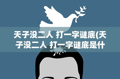 天子没二人 打一字谜底(天子没二人 打一字谜底是什么)