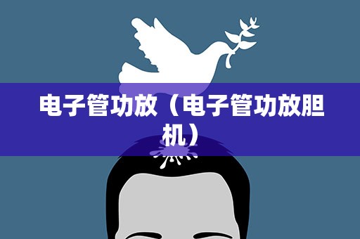 电子管功放（电子管功放胆机）