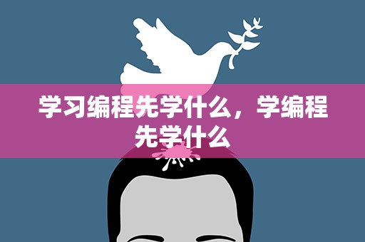学习编程先学什么，学编程先学什么