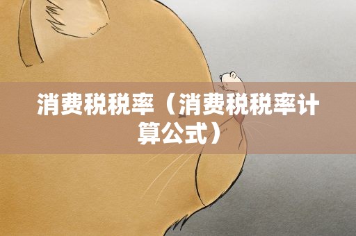 消费税税率（消费税税率计算公式）