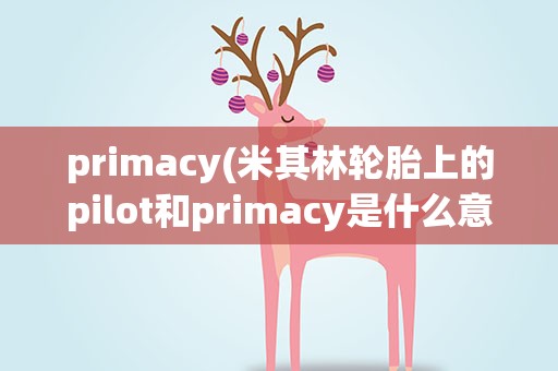 primacy(米其林轮胎上的pilot和primacy是什么意思)