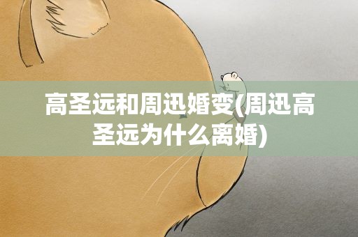 高圣远和周迅婚变(周迅高圣远为什么离婚)