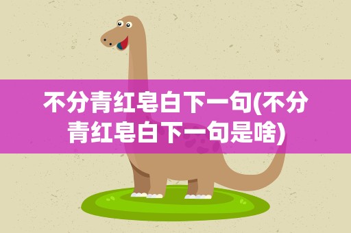 不分青红皂白下一句(不分青红皂白下一句是啥)