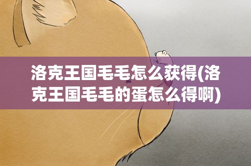 洛克王国毛毛怎么获得(洛克王国毛毛的蛋怎么得啊)