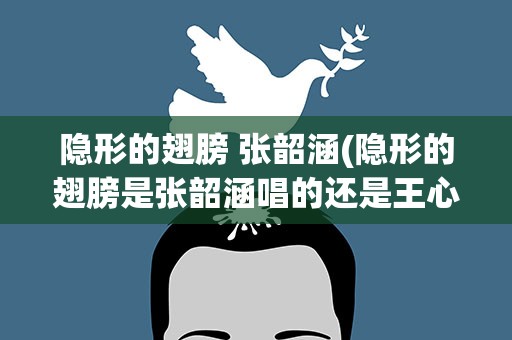 隐形的翅膀 张韶涵(隐形的翅膀是张韶涵唱的还是王心凌唱的)