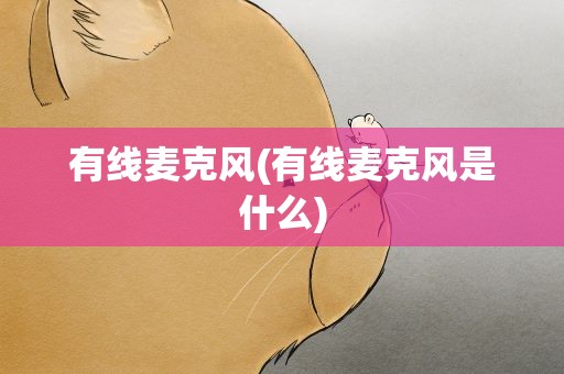 有线麦克风(有线麦克风是什么)
