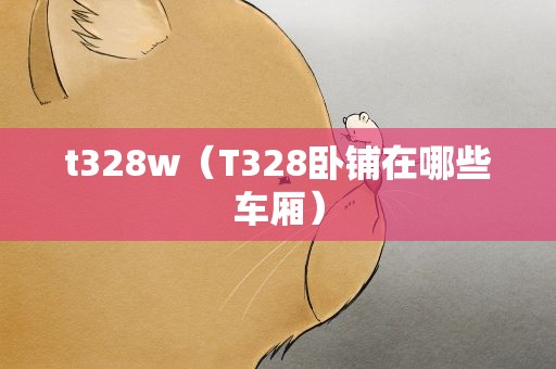 t328w（T328卧铺在哪些车厢）