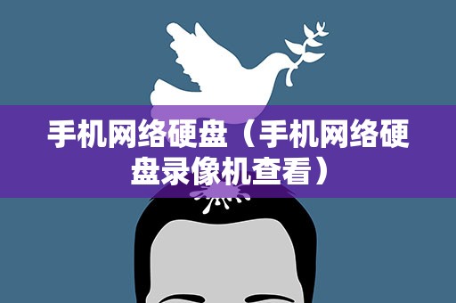 手机网络硬盘（手机网络硬盘录像机查看）