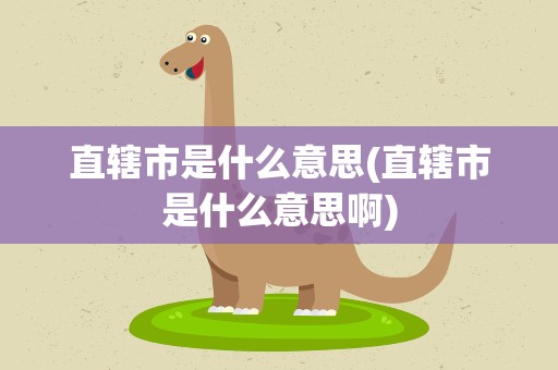 直辖市是什么意思(直辖市是什么意思啊)
