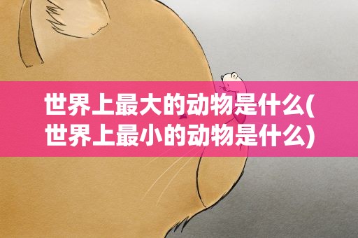 世界上最大的动物是什么(世界上最小的动物是什么)