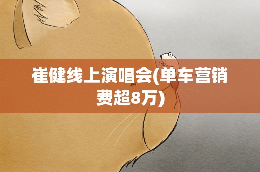 崔健线上演唱会(单车营销费超8万)