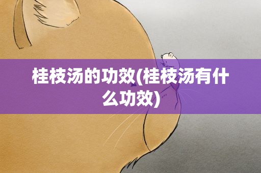 桂枝汤的功效(桂枝汤有什么功效)