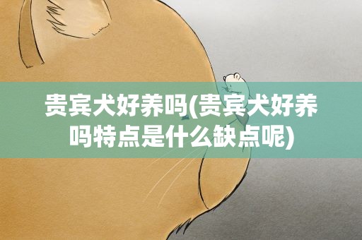 贵宾犬好养吗(贵宾犬好养吗特点是什么缺点呢)