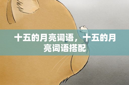十五的月亮词语，十五的月亮词语搭配