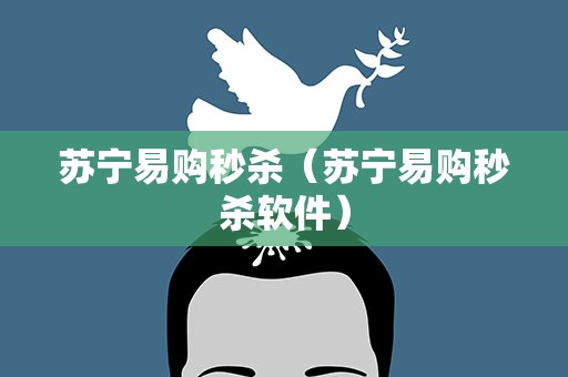 苏宁易购秒杀（苏宁易购秒杀软件）