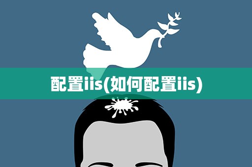 配置iis(如何配置iis)