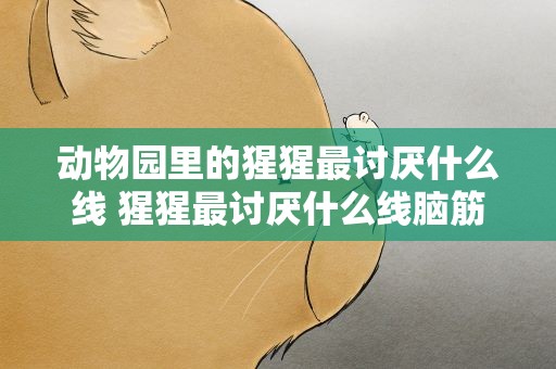 动物园里的猩猩最讨厌什么线 猩猩最讨厌什么线脑筋