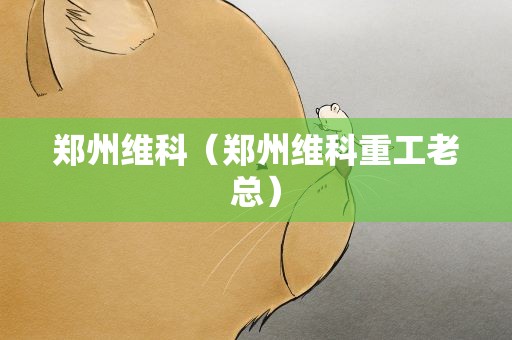 郑州维科（郑州维科重工老总）