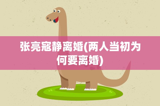 张亮寇静离婚(两人当初为何要离婚)