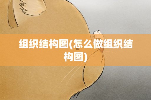 组织结构图(怎么做组织结构图)
