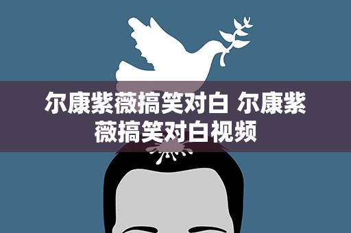 尔康紫薇搞笑对白 尔康紫薇搞笑对白视频