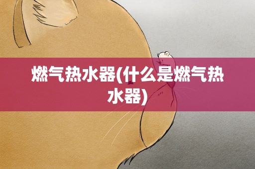 燃气热水器(什么是燃气热水器)