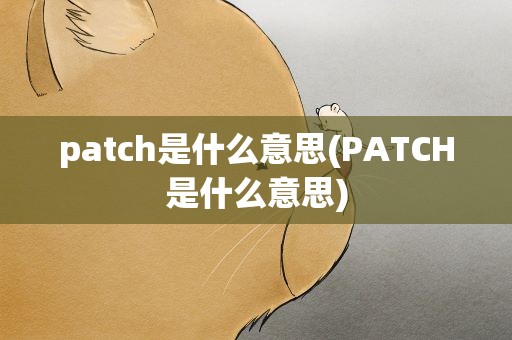 patch是什么意思(PATCH是什么意思)