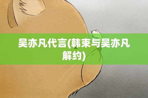 吴亦凡代言(韩束与吴亦凡解约)