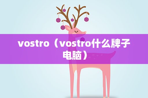 vostro（vostro什么牌子电脑）