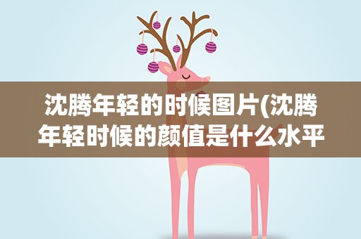 沈腾年轻的时候图片(沈腾年轻时候的颜值是什么水平)