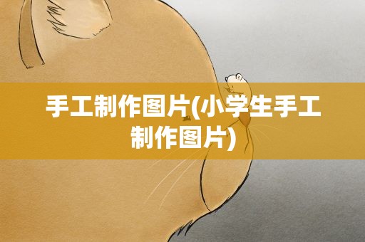 手工制作图片(小学生手工制作图片)