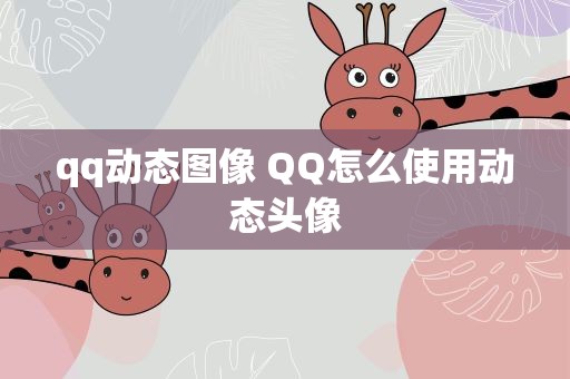 qq动态图像 QQ怎么使用动态头像