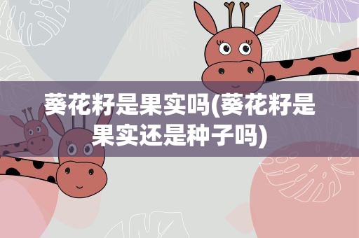 葵花籽是果实吗(葵花籽是果实还是种子吗)
