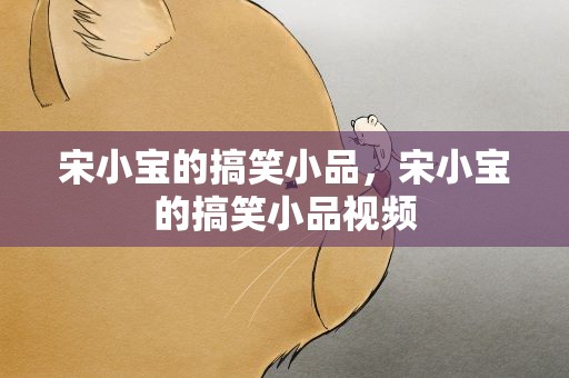 宋小宝的搞笑小品，宋小宝的搞笑小品视频