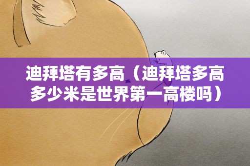 迪拜塔有多高（迪拜塔多高多少米是世界第一高楼吗）