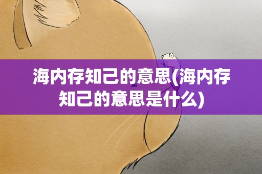 海内存知己的意思(海内存知己的意思是什么)
