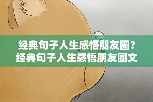 经典句子人生感悟朋友圈？经典句子人生感悟朋友圈文案