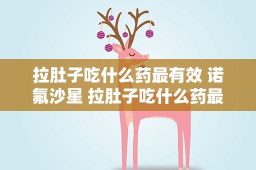 拉肚子吃什么药最有效 诺氟沙星 拉肚子吃什么药最有效 诺氟沙星片