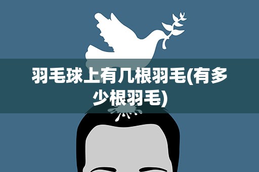 羽毛球上有几根羽毛(有多少根羽毛)