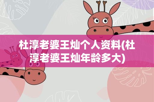 杜淳老婆王灿个人资料(杜淳老婆王灿年龄多大)