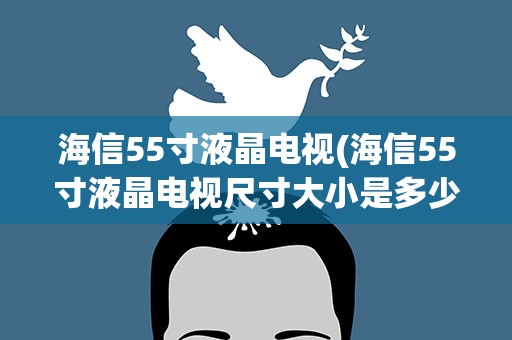 海信55寸液晶电视(海信55寸液晶电视尺寸大小是多少)