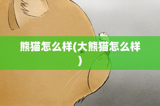 熊猫怎么样(大熊猫怎么样)