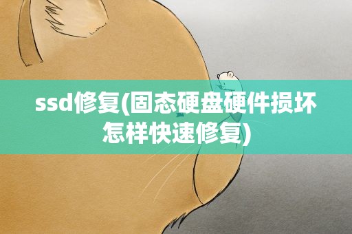ssd修复(固态硬盘硬件损坏怎样快速修复)